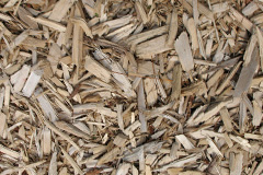 biomass boilers Pitlessie